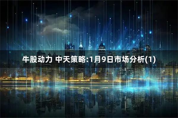 牛股动力 中天策略:1月9日市场分析(1)
